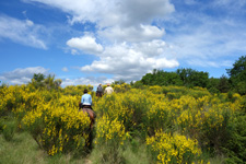 France-Provence-French Colorado Provence Ride
